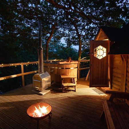 Chestnut Tree House With Hot Tub & Sauna Barmouth Εξωτερικό φωτογραφία