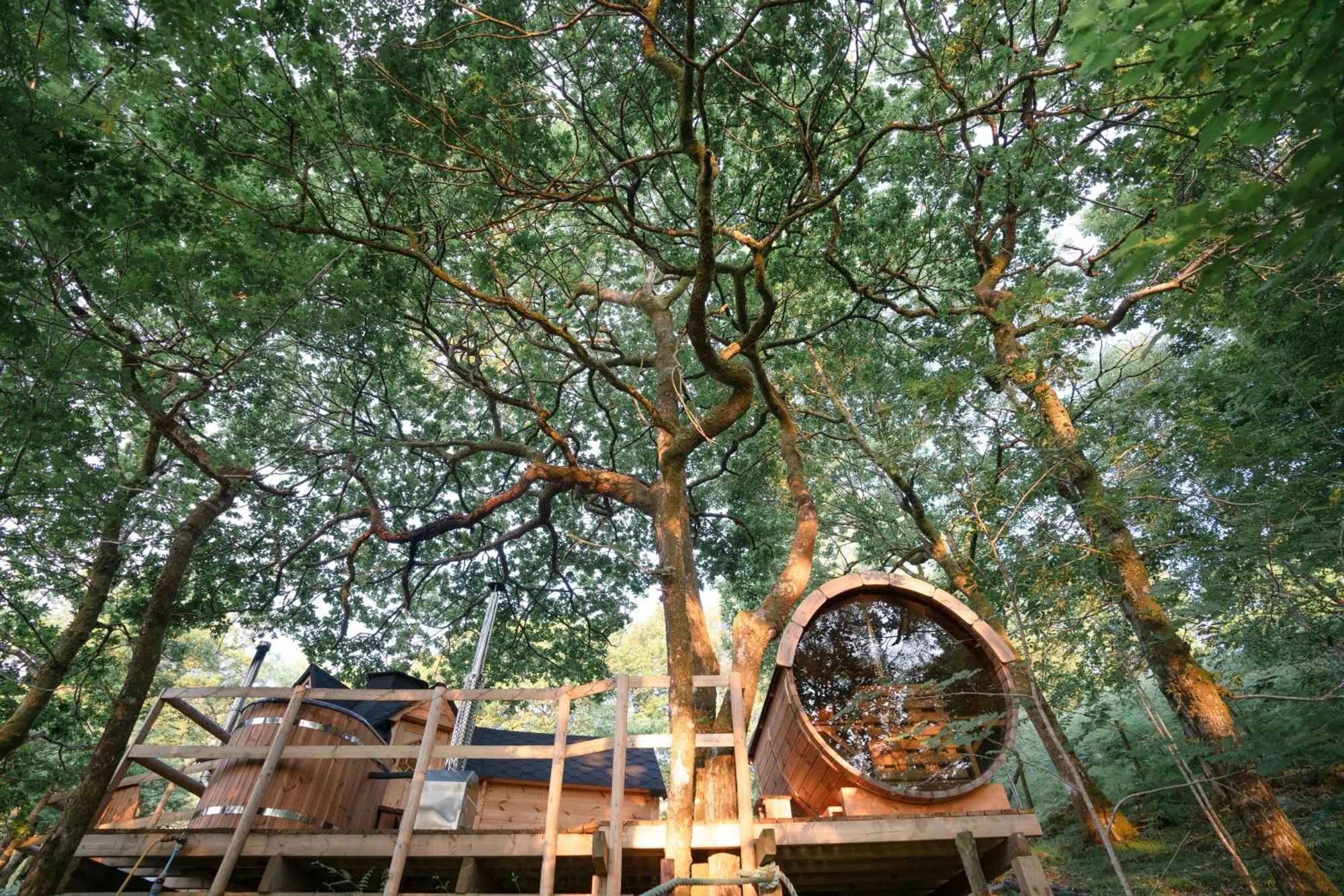 Chestnut Tree House With Hot Tub & Sauna Barmouth Εξωτερικό φωτογραφία